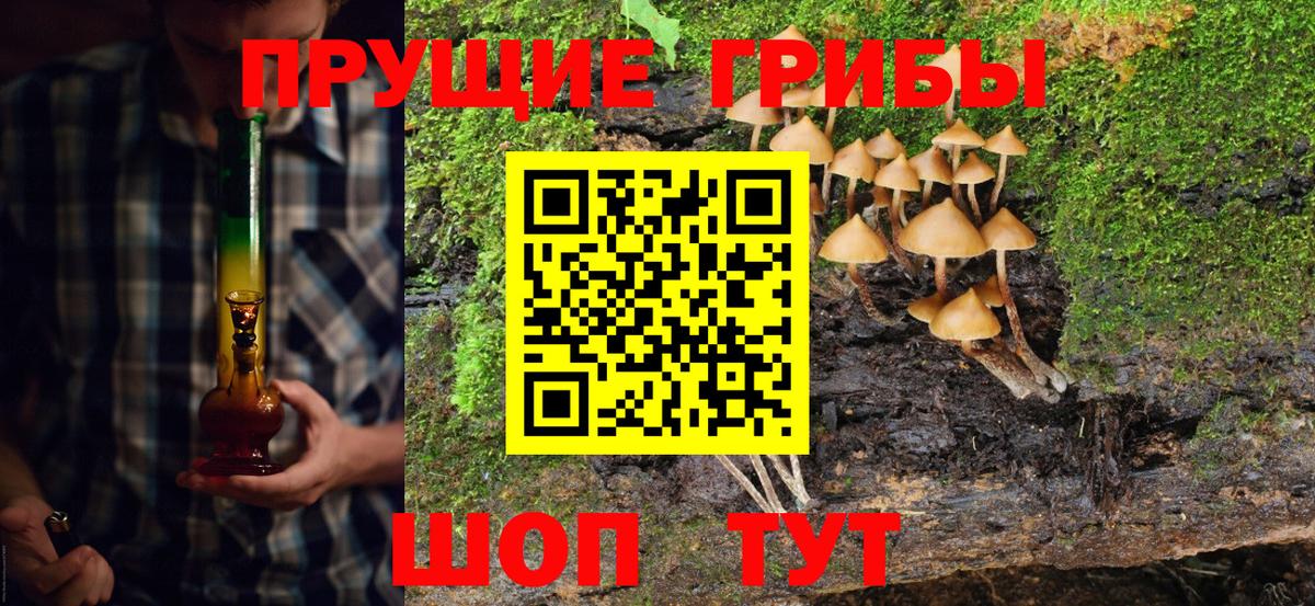 Кушва  Псилоцибиновые грибы Cubensis  Вход с VPN 