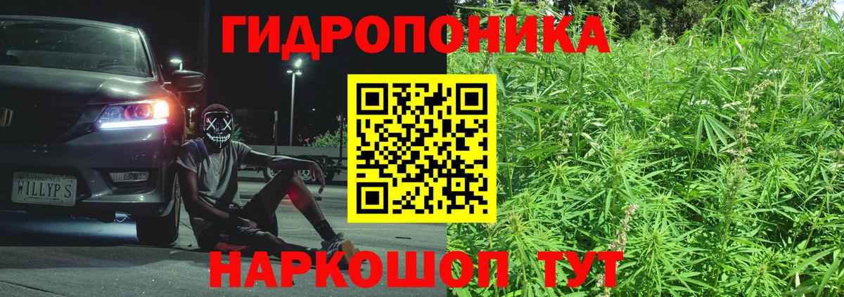 Шишки марихуана Bruce Banner Кушва
